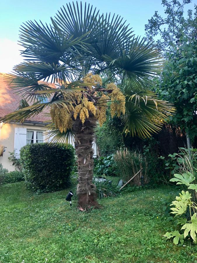 Les Glycines De Bougy Bed & Breakfast Dış mekan fotoğraf